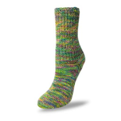 Flotte Sock Circus | 6 Ply