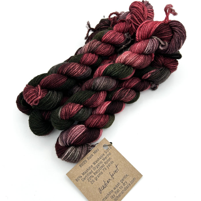 Acadian Forest | 80/20 Sock Mini