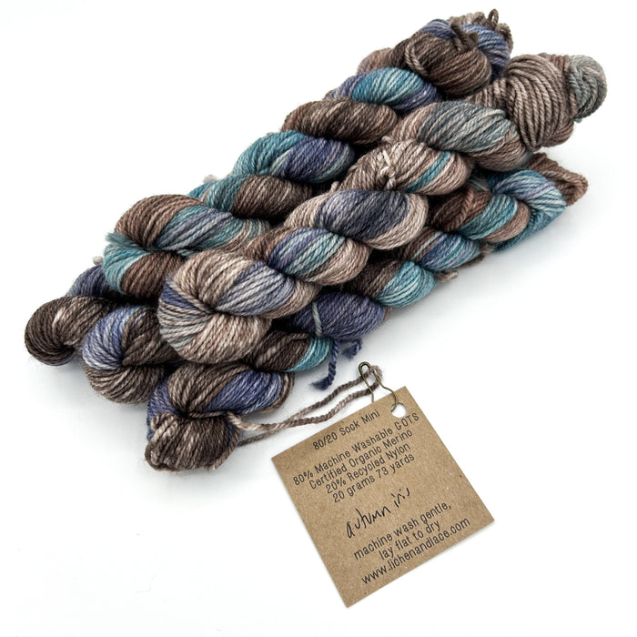 Autumn Iris | 80/20 Sock Mini