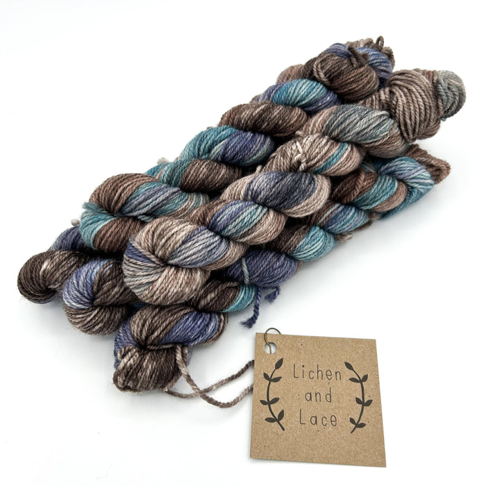 Autumn Iris | 80/20 Sock Mini