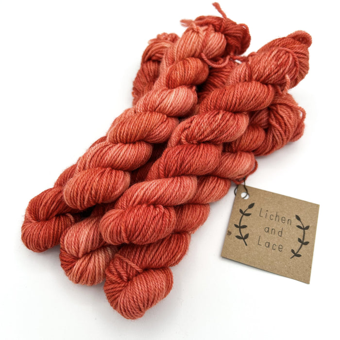 Rosehip | 80/20 Sock Mini