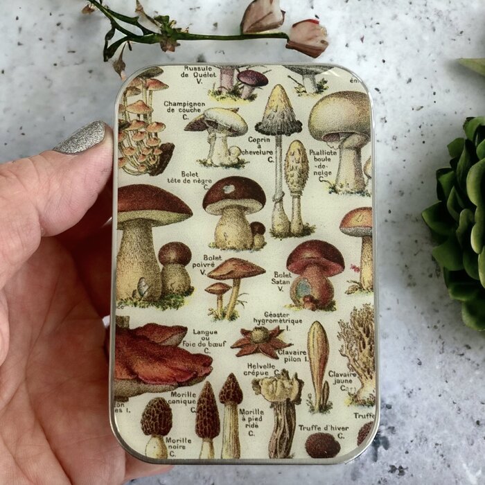 Firefly Notes Mushroom Tin