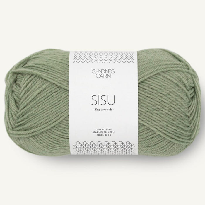 9041 Dusty Light Green | Sisu