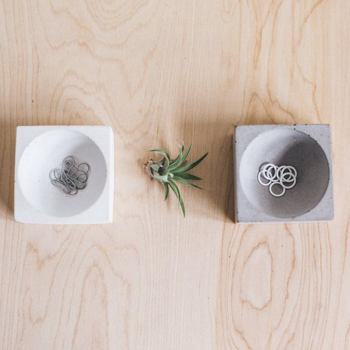 Concrete Notions Dish